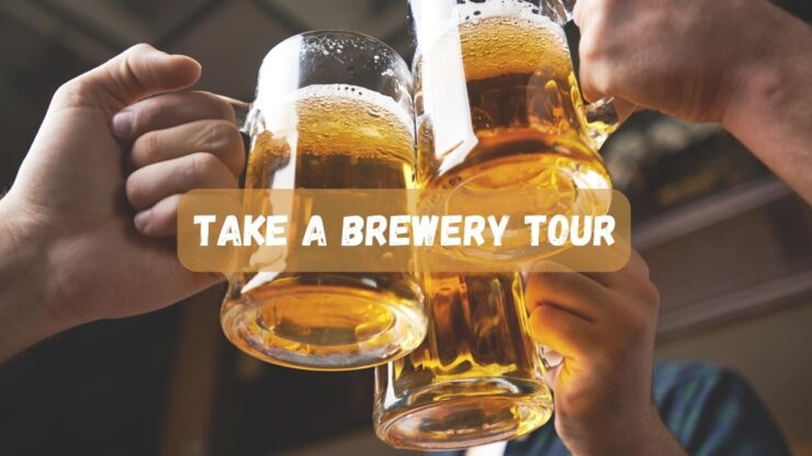 Take a Brewery Tour