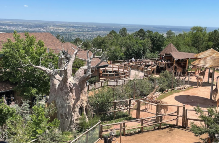 A Full View Of Cheyenne Mountain Zoo