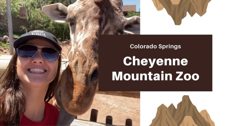 Cheyenne mountain zoo