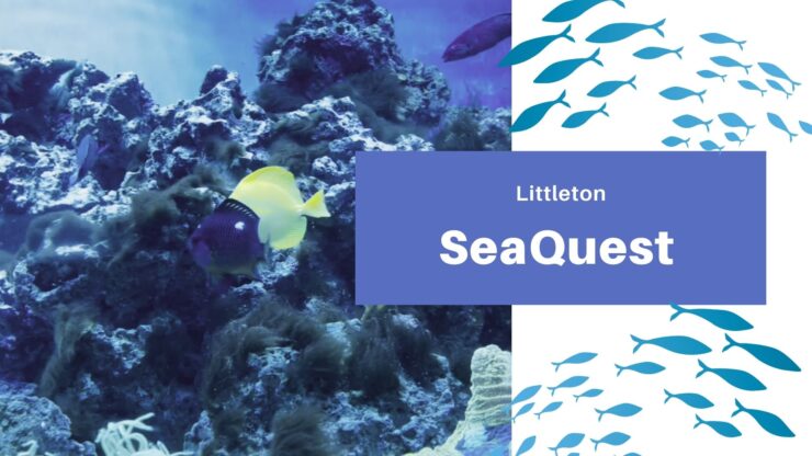 SeaQuest Littleton