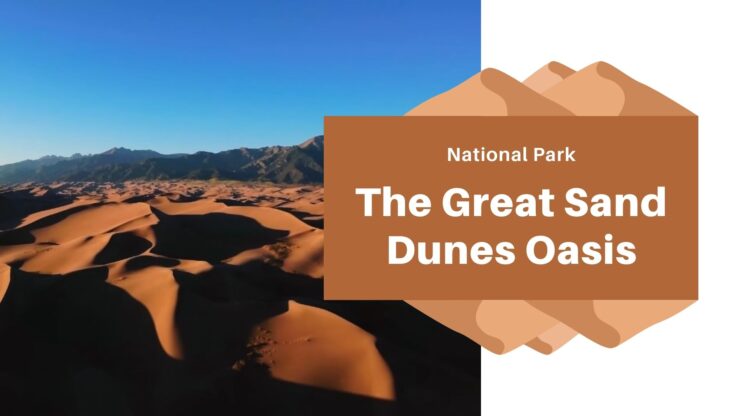 The great sand dunes oasis