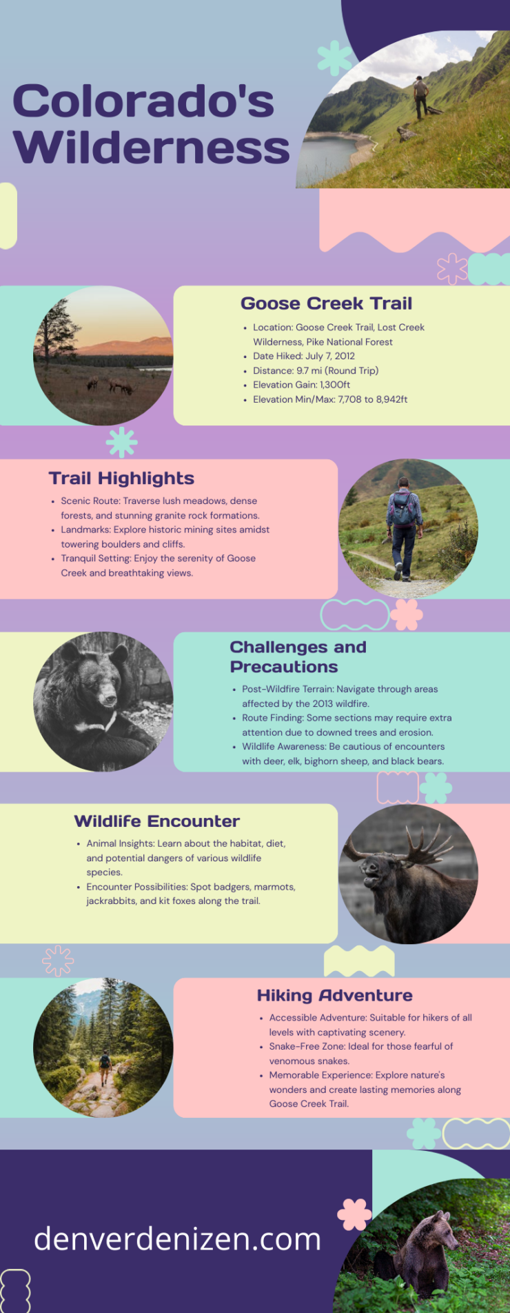 Wildlife Adventures in Colorado Infographic